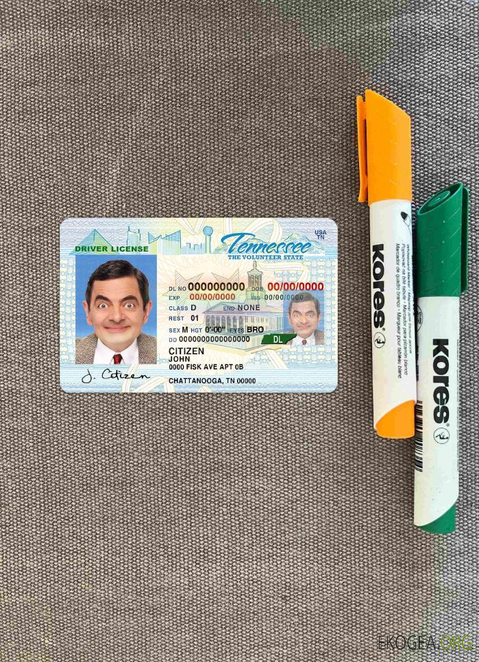 USA Tennessee DL photolook AVANT